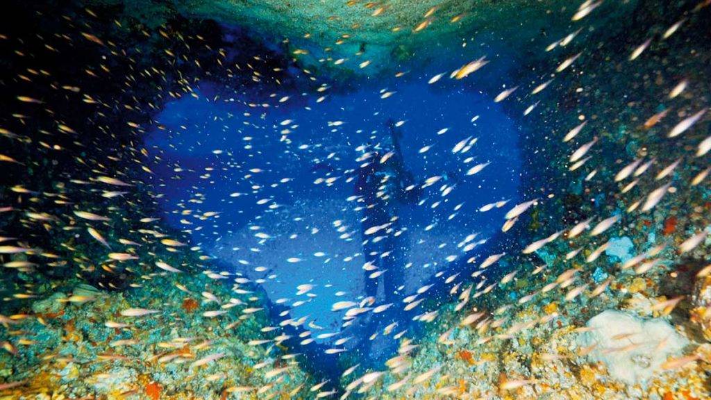 台灣潛水 洞中有大量的小魚群