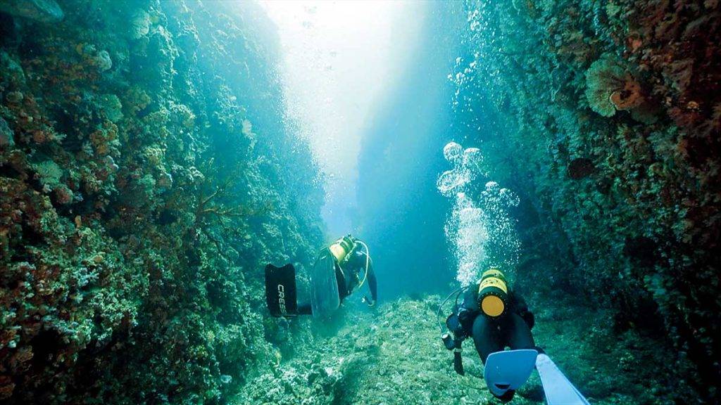 台灣潛水 大峽谷被譽為海底花園，裂縫深度深達米，有如在山谷中飄浮。