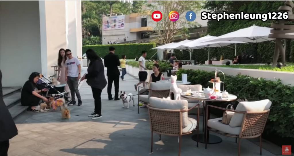 自助餐推介 寵物Welcome（Stephen Leung 吃喝玩樂YouTube截圖）