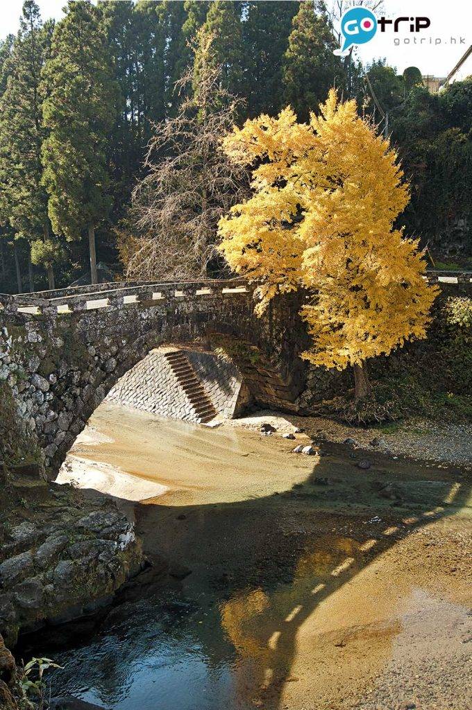 日本紅葉 石橋在熊本地震時曾被破壞，但經復後已完全復活，更在大河劇中亮相