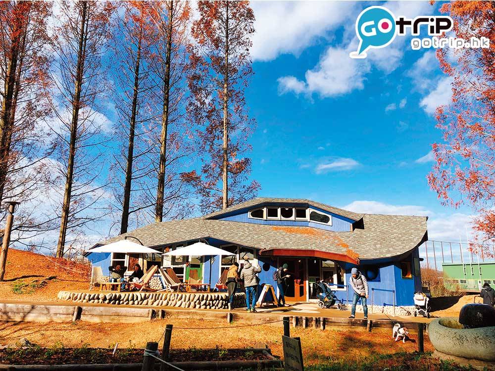 日本紅葉 公園最適合野餐或小朋友放電玩樂，北歐 風藍色木屋是場內唯一提供輕食的 cafe。