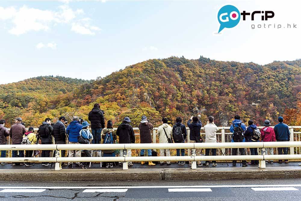 日本紅葉 為拍火車穿越隧道照片，大家站在大深沢橋苦等關鍵時刻。