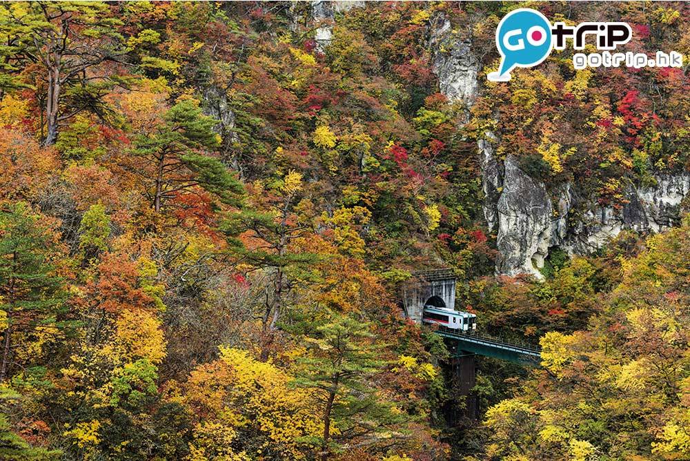 日本紅葉 鳴子峽的原始秋色
