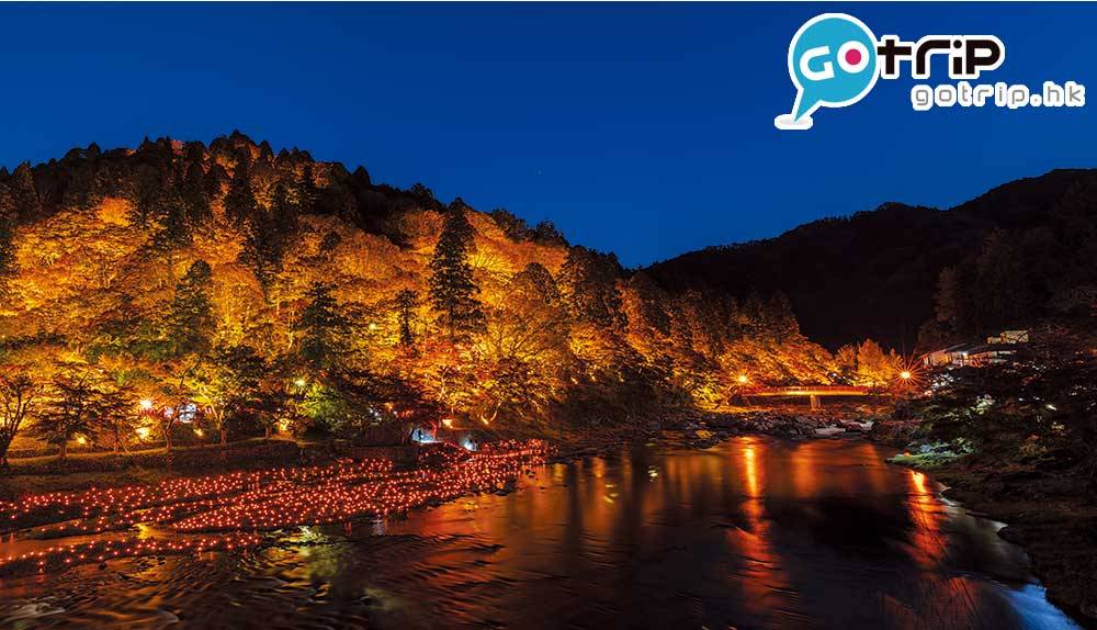 日本紅葉 每年11月在香嵐溪會有紅葉祭的晚間點燈活動，4千棵紅葉被金黃燈光打亮，美麗絢爛。