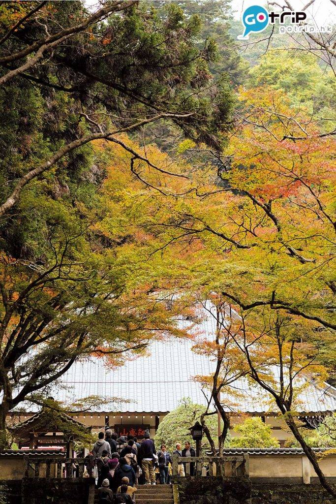日本紅葉 香積寺的11代主持三栄和尚在這片土 地種植了大量樹木美化環境，而在香積寺內還可看到兩棵百年杉樹。