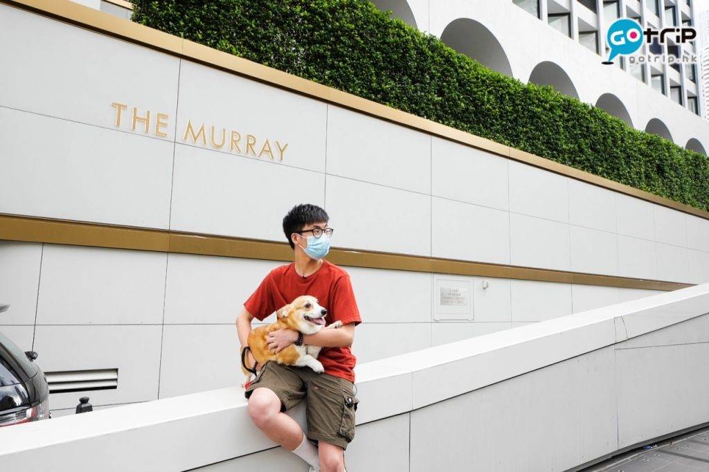 MURRAY 行多幾步就是Murray正門入口。白色牆壁加上The Murray標準，與狗狗坐在欄杆上打卡，效果其實不錯！