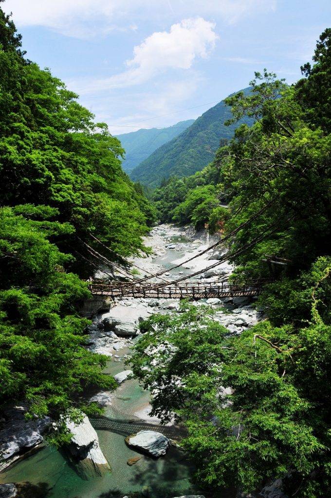 香川縣 祖谷蔓橋是日本3大奇橋之一，橋身以藤蔓編織而成。