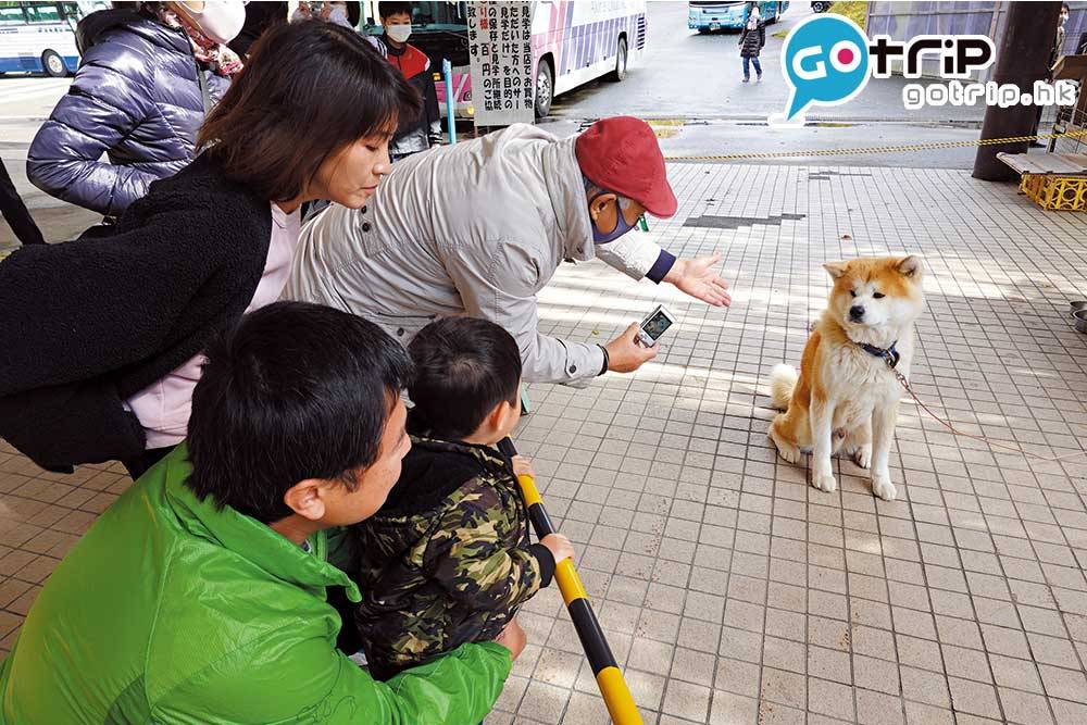 日本親子遊 縣內手信店也會以秋田犬店長作招來。