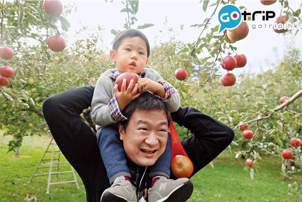 日本親子遊 希希一直攬著蘋果不放地跑來跑去，辛苦了爸爸騎膊馬才能拍下照片。