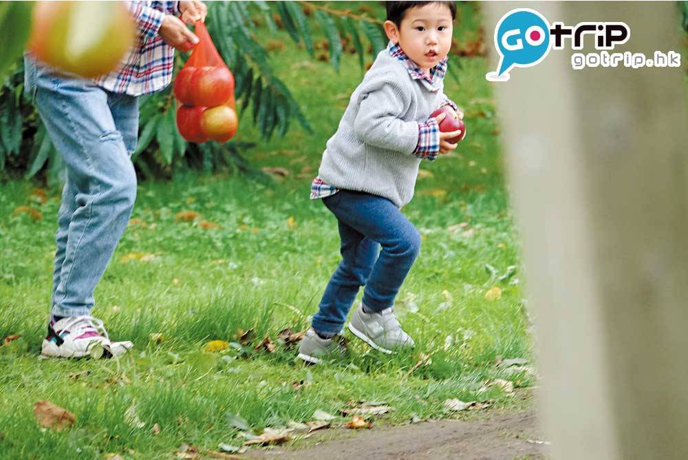 日本親子遊 佔地廣闊的蘋果園變成了希希的遊樂場，跑極 都沒有盡頭，必須要好好看著才不會走遠。