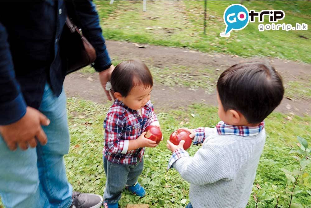 日本親子遊 希希把摘下來的蘋果送給園內偶遇的 小朋友，沒送給我，很傷心!