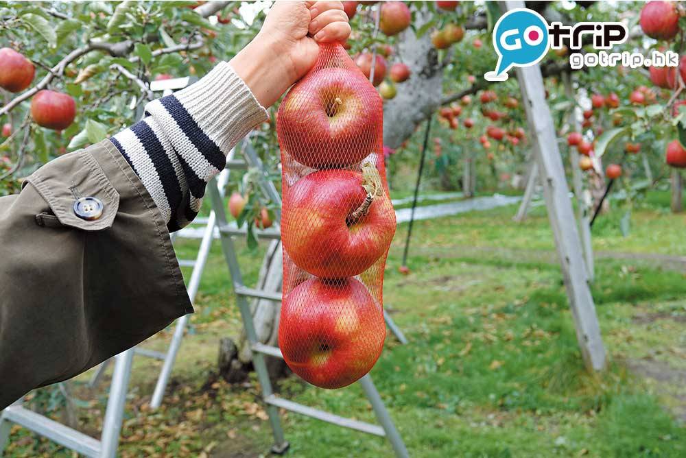 日本親子遊 在青森，蘋果抵食得很，摘 個才要
¥300/HK$22，這樣的大小，如果百貨 公司買，以這個價錢可能只買到一個。