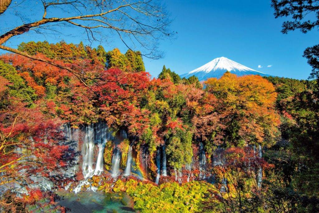 影紅葉技巧 東京自由行 白糸の滝可一次過將瀑布、紅葉和富士山盡收眼底。