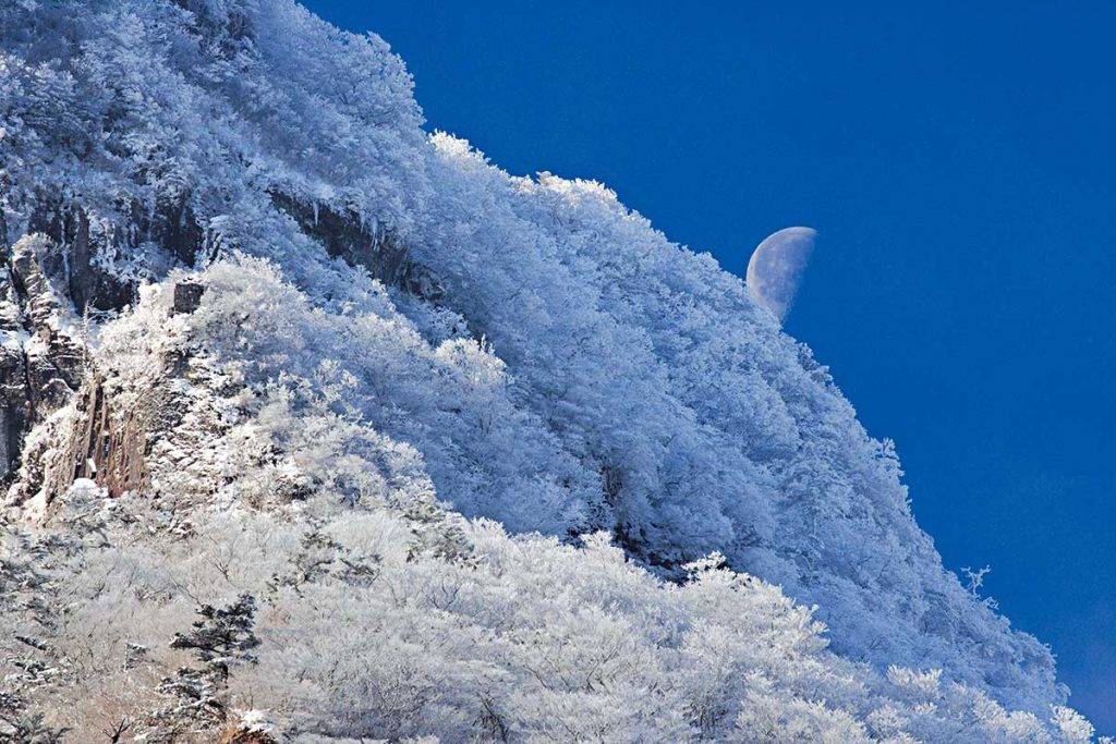 高知景點 冬季滿山滿谷都被積雪覆蓋，別有一番景致。