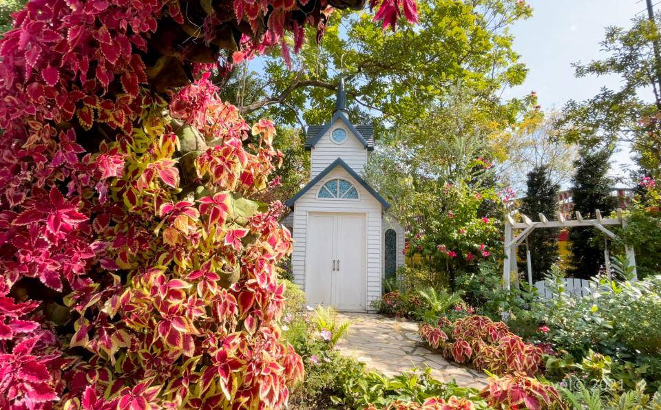 荔枝角公園 藍白小屋和花圈組構成的童話世界