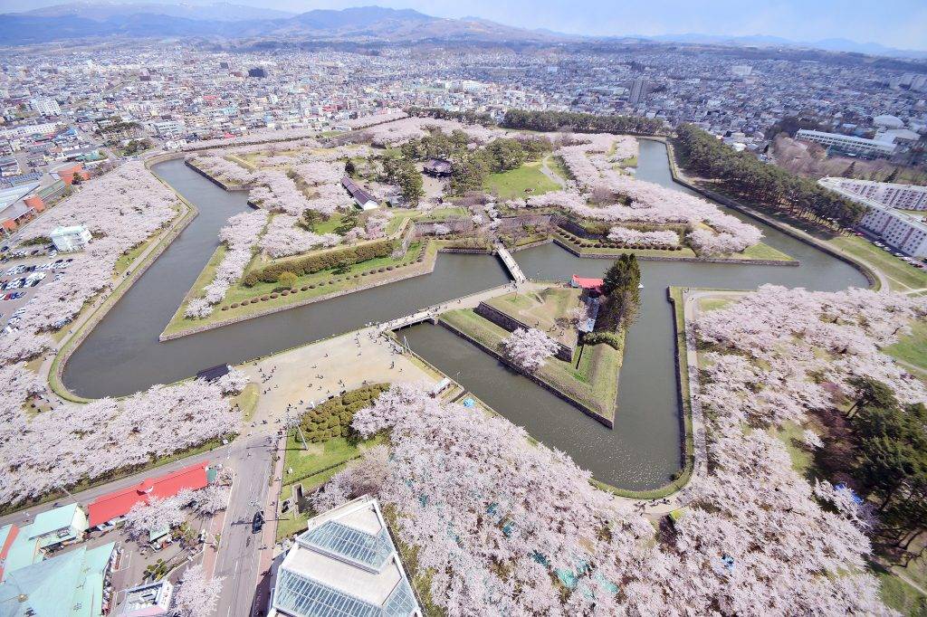 日本櫻花2021 五稜郭是賞櫻必去景點。