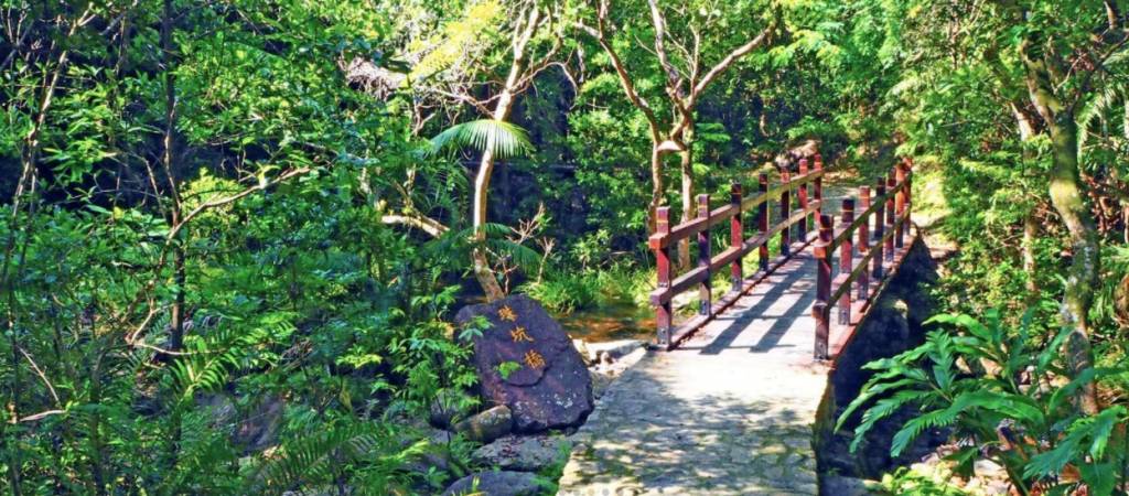 鶴藪水塘 珠坑橋在兩旁樹蔭之間，橋底小溪流動，形成休閒放鬆的大自然畫面，很適合影相打卡。