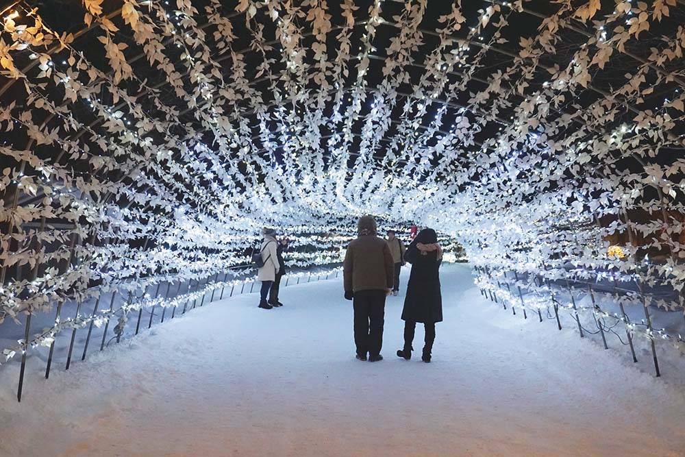 北海道打卡 必定要打卡的光之隧道，立體花卉裝飾加上燈光非常浪漫！