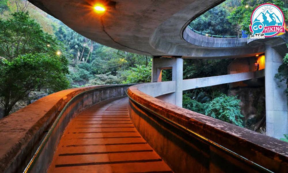 動植物公園旁的攝影秘景！森林裡的空中隧道｜己連拿利路線+打卡靚位
