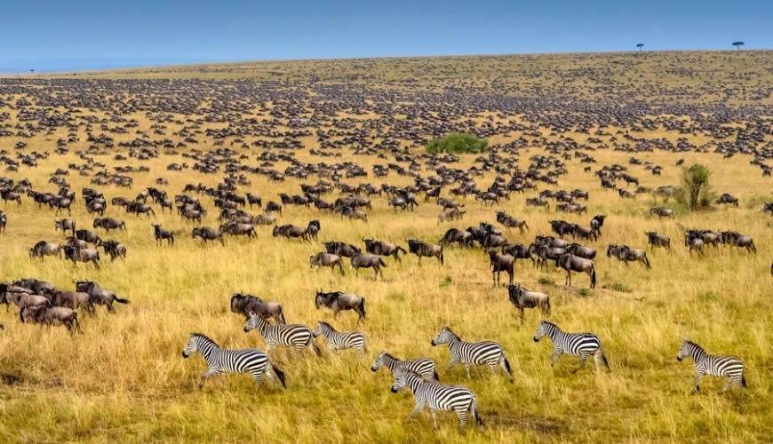 【全世界最佳國家公園】3.肯亞 馬賽馬拉自然保護區