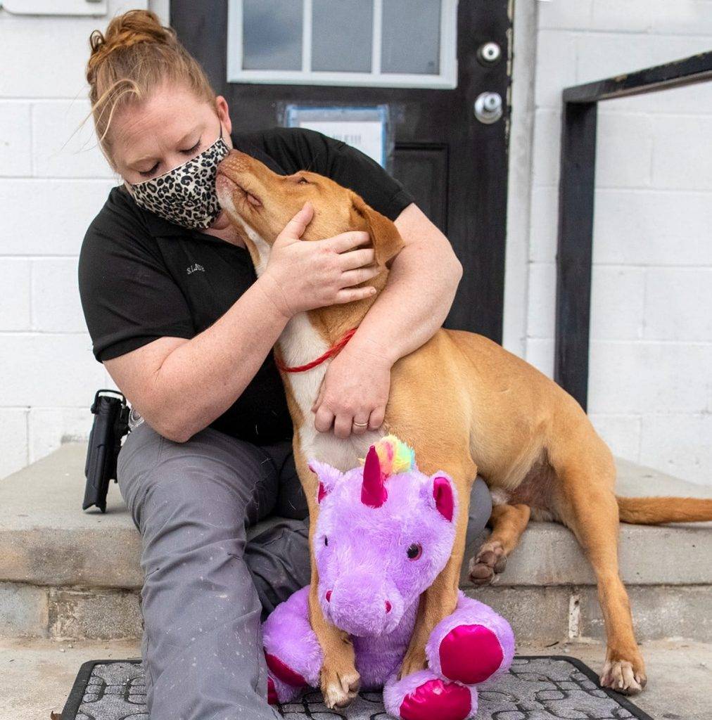 【狗狗偷公仔】當地動物保護團體負責人Samantha見到Sisu異常喜歡該紫色獨角獸公仔，便買下這隻公仔送給牠。(圖片來源：Facebook@Duplin County Animal Services)