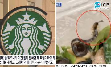 韓國Starbucks沙律上面有蜈蚣 事主嬲爆投訴官方回覆求其
