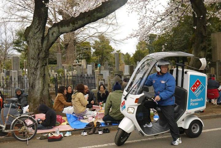 日本文化 一到櫻花季，日本人會在墳場鋪地毯野餐喝酒起來。