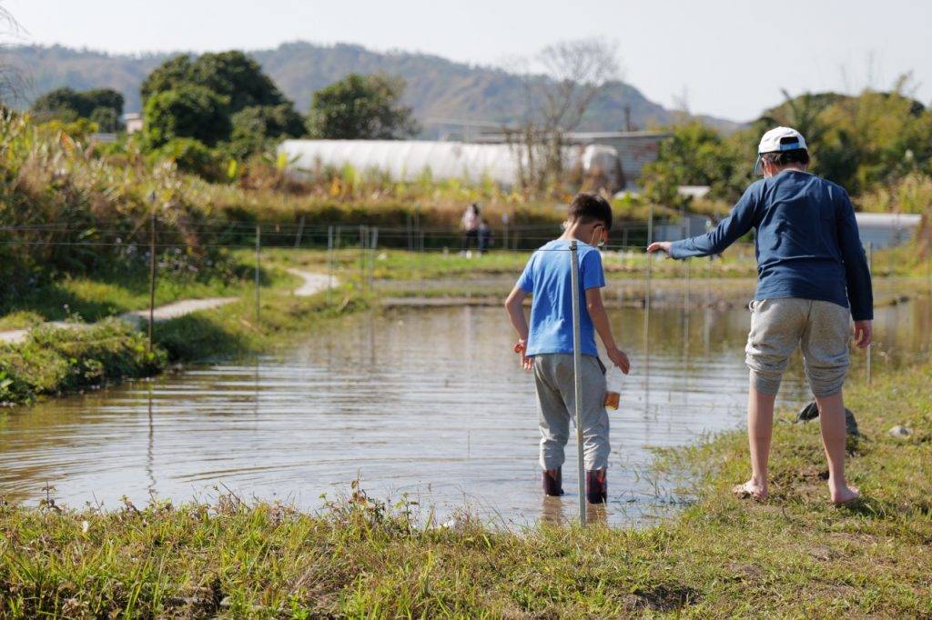 錦田好去處 生活館Kids Club背靠大帽山及城門水塘盡擁優厚的耕種條件，這裡用的都是潔淨無污的山水。