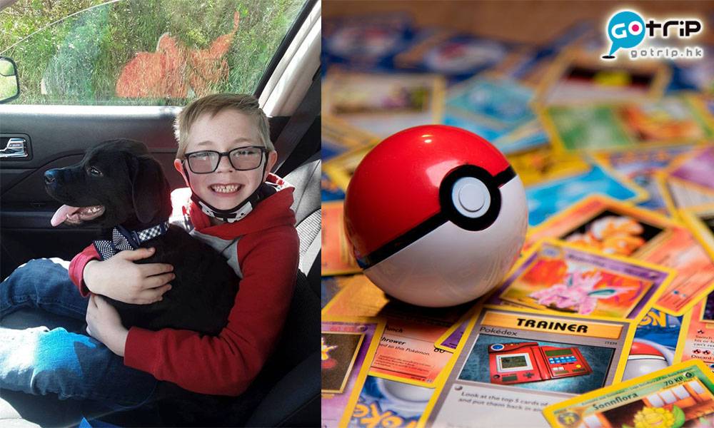 8歲男童賣Pokémon卡救狗狗