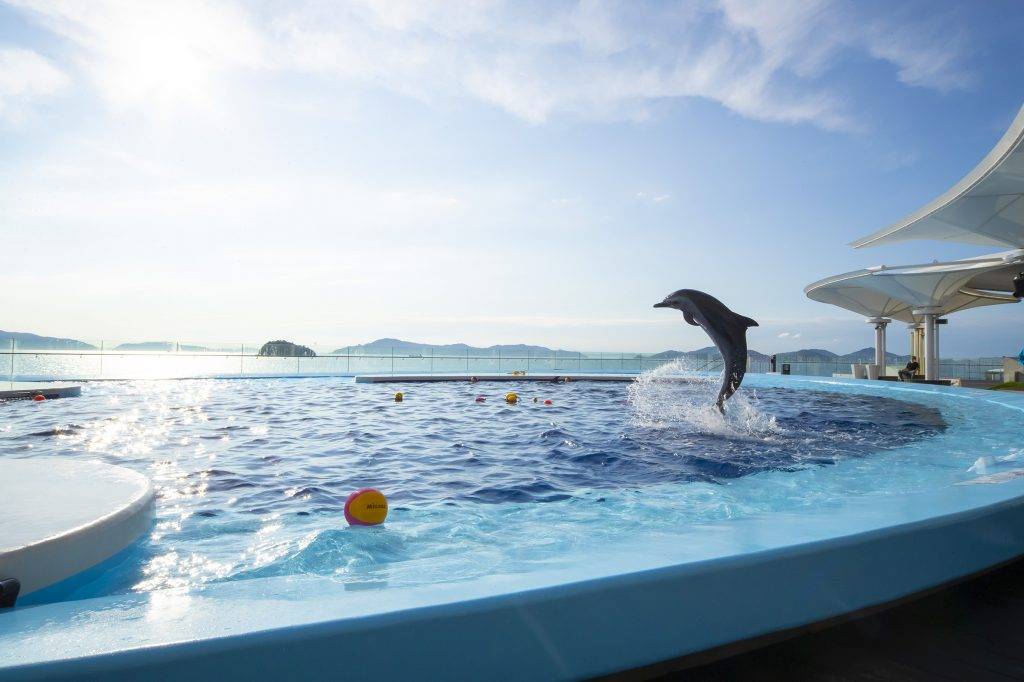 四國 視覺上海豚池與瀨戶内海蔚藍海岸連成一線，邊看表演也邊欣賞美景。( 圖片提供：四國水族館）
