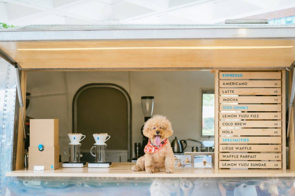 Blue Bottle Coffee 沙田限定戶外咖啡店 歡迎大家帶同狗狗前來放電，享受 Pets Camping 時光！