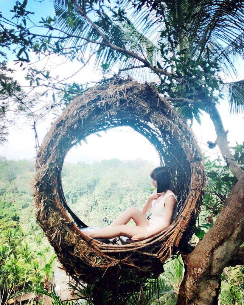 有網民指Be Leaf的鳥巢吊椅打卡位峇里島叢林裡的鞦韆鳥巢有幾分相似（圖片來源：Instagram@ber_foodie 授權使用）