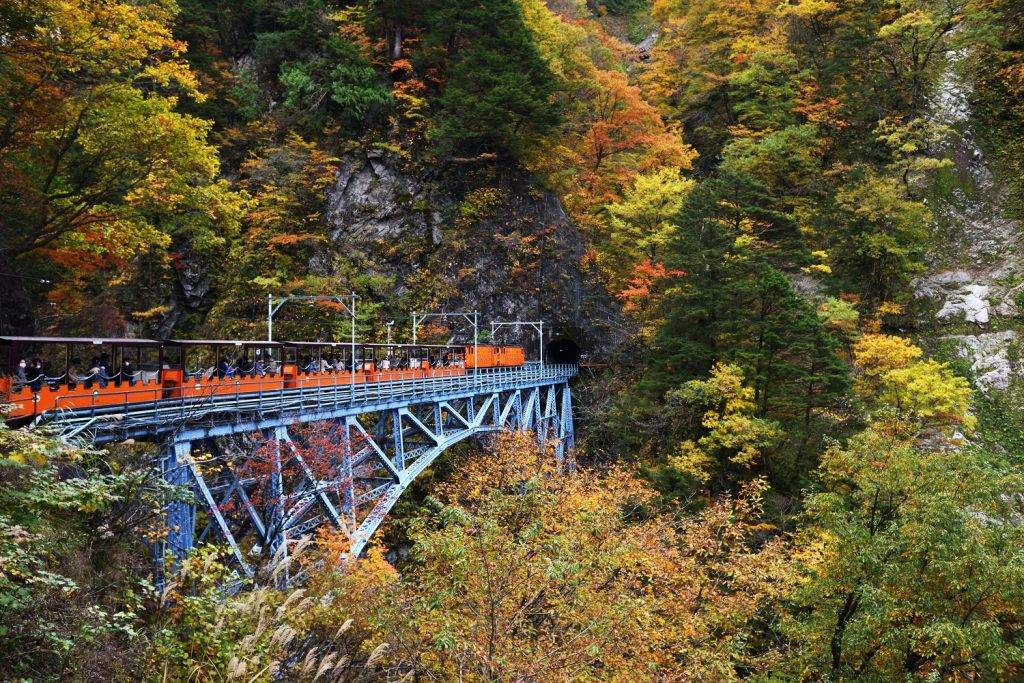 富山 黒薙站的「後曳橋」架設於60米的峽谷之上，建議在遊步道的打卡點欣賞秋色下的壯觀峽谷絕景。 