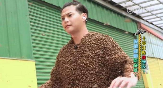 研究 保錡被無數隻蜜蜂摟住全身，又熱又痛又辛苦，被封「ViuTV綜藝之王」