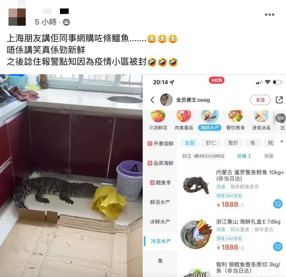 網購 有網民近日在Facebook群組分享，指有上海朋友的同事在網購了一條冷凍鱷魚。