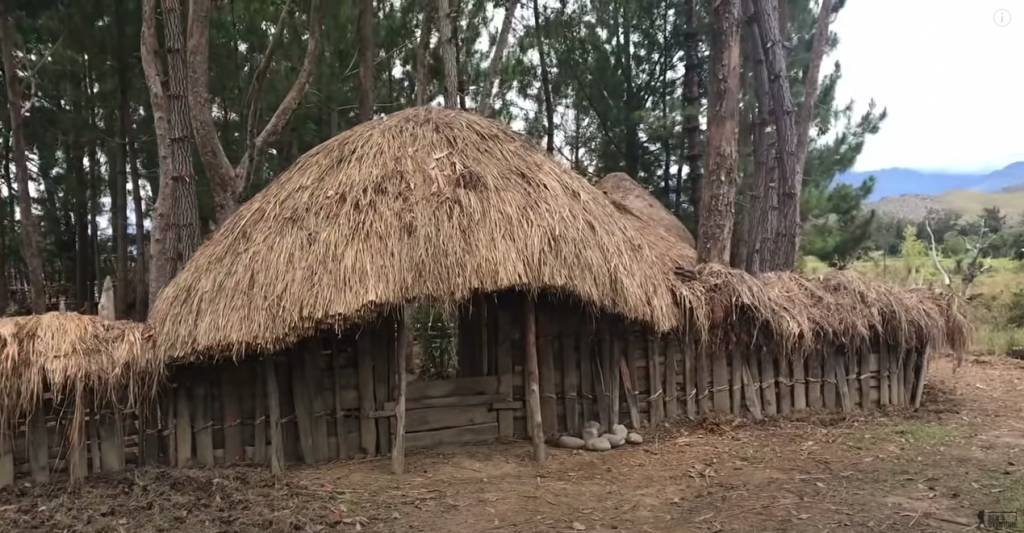 食人族 印尼 印尼食人族傳統的茅草屋
