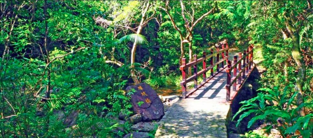 香港行山好去處 珠坑橋在兩旁樹蔭之間，橋底小溪流動，形成休閒放鬆的大自然畫面，很適合影相打卡。
