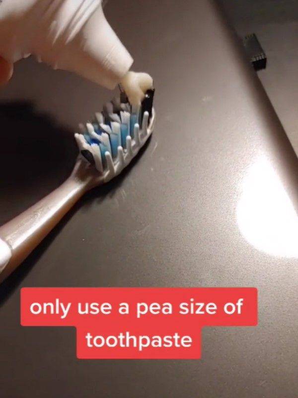 牙刷 牙膏只需擠在有顏色的部分即可。