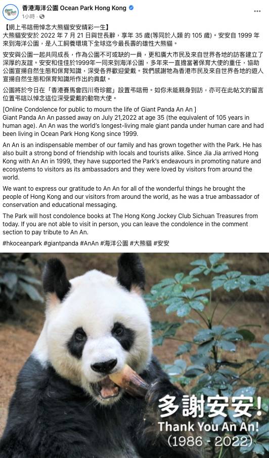 大熊貓安安離世 熊貓安安 海洋公園 海洋公園今日將設置弔唁冊，悼念安安的一生