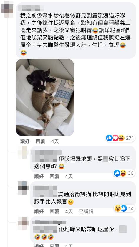 貓義工 另外也有網民分享遇上流浪貓一事，指責貓義工行為