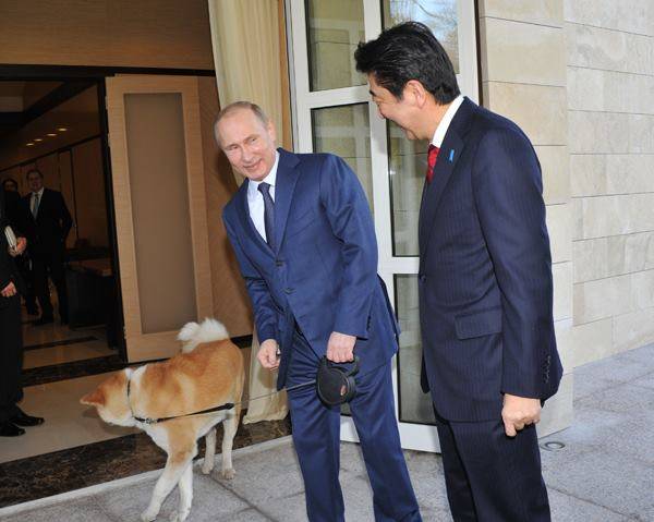 狗狗外交 安倍訪俄時普京帶同秋田犬「夢」一同迎接