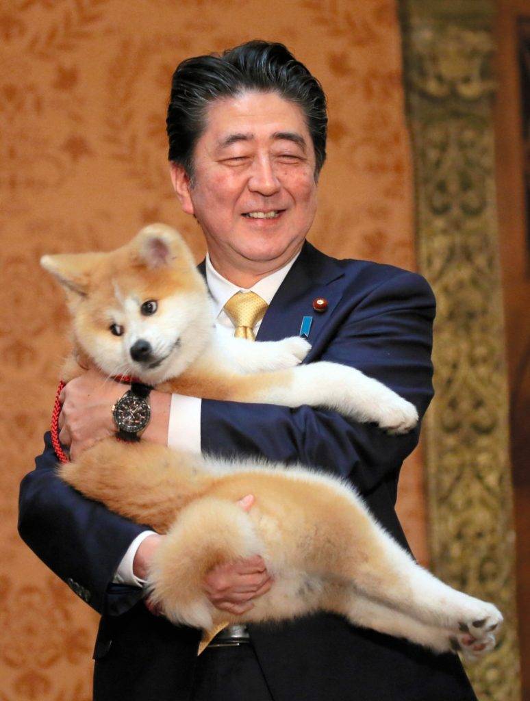 狗狗外交 日本前首相安倍晉三日前遇刺身亡，任內推出對俄羅斯送上日本特有的秋田犬進行「狗狗外交」