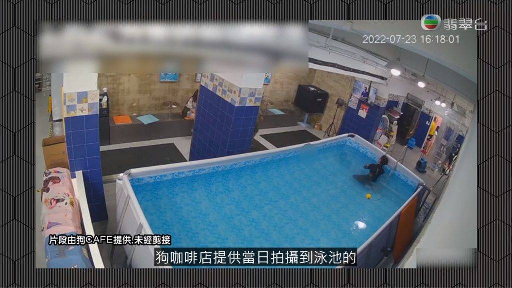 東張西望 狗cafe 負責人解釋關鍵CCTV片段消失是因為網路不穩，由原本20分鐘只剩下3分鐘