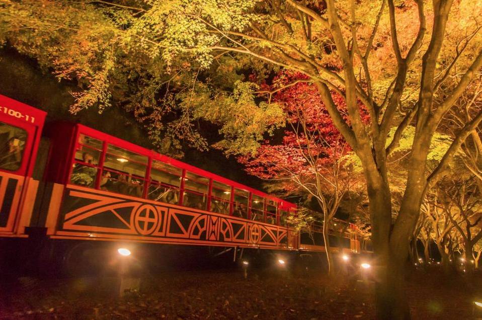 影紅葉技巧 日本京都紅葉 日本紅葉 坐著嵐山火車也可欣賞夜楓。