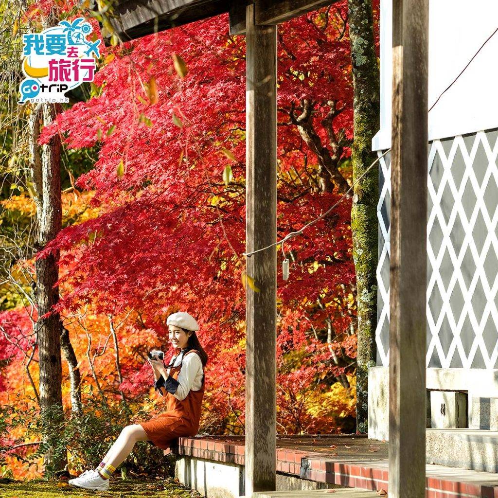 日本紅葉 前往花卷溫泉可從仙台站乘高速巴士直達，車程約2小時45分鐘。