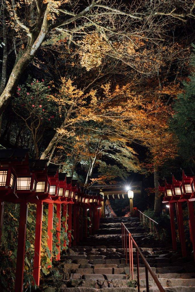 日本京都紅葉 日本紅葉 紅色燈正好與紅葉相輝映。