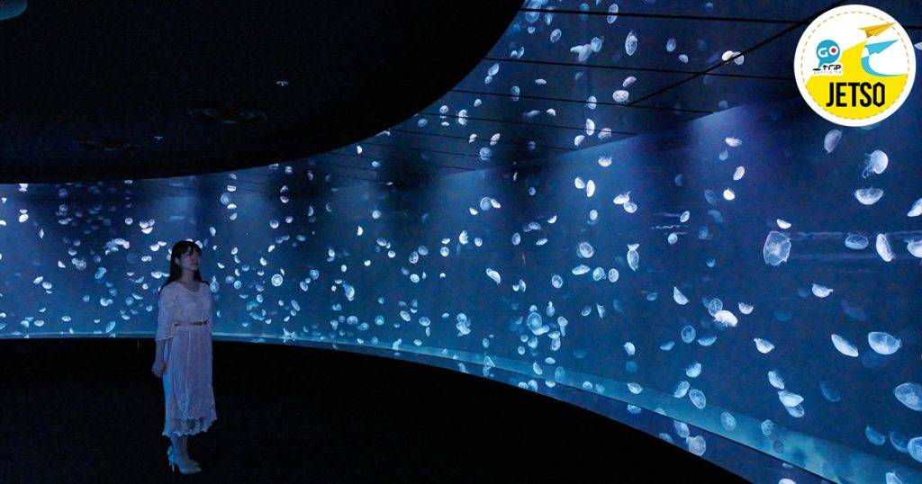 東京門票優惠 以水母為主題的全新展區「海月空感」。