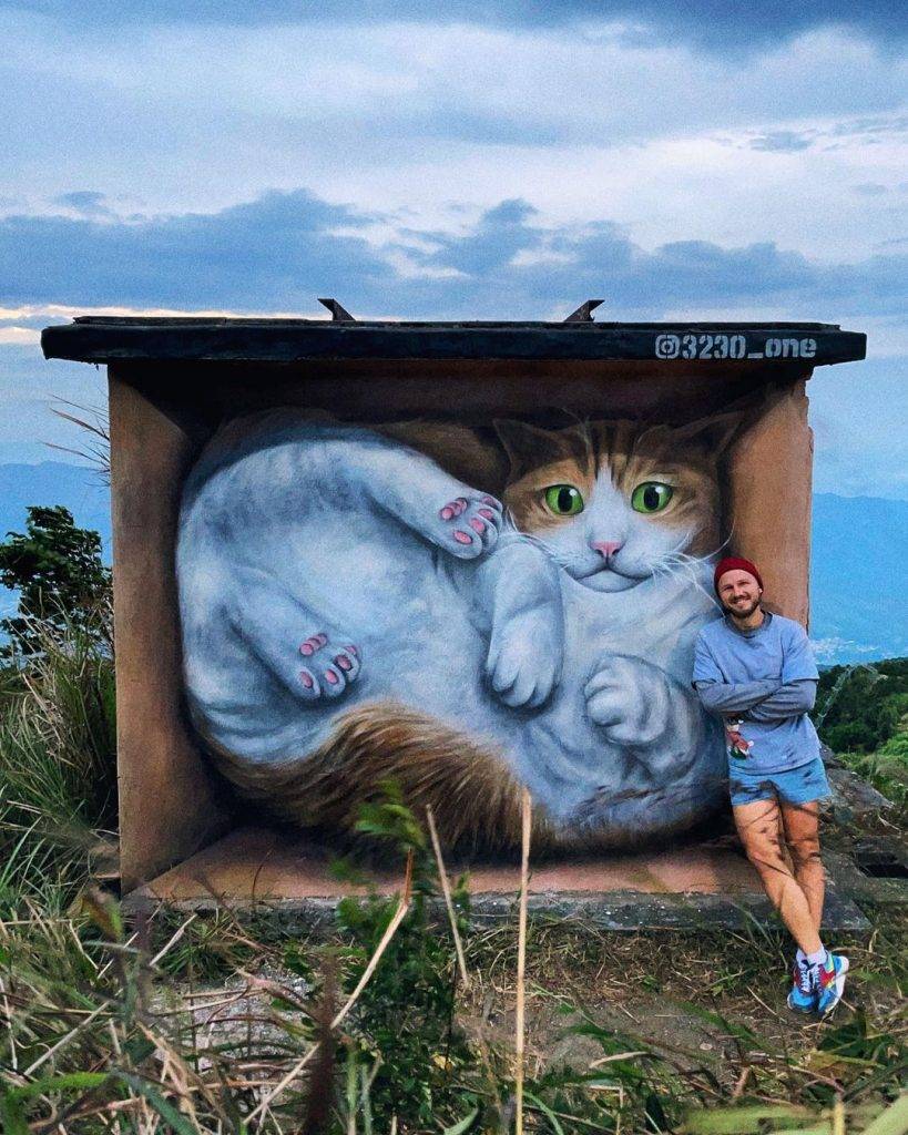 大帽山貓貓壁畫屋是由旅居香港的俄羅斯街頭藝術家Vladimir Boldyrev，花 上20小時以上創作