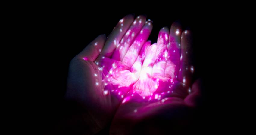 平安神宮 燈光展 消毒雙手的同時會投影出一朵綻放的花。