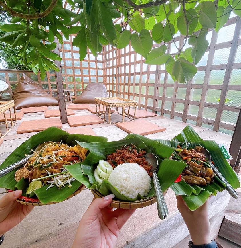 曼谷自由行2023 行程推介 曼谷動物園 Cafe內的泰菜